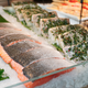 Illustration for article titled Genetically modified salmon could arrive in U.S. restaurants by next year